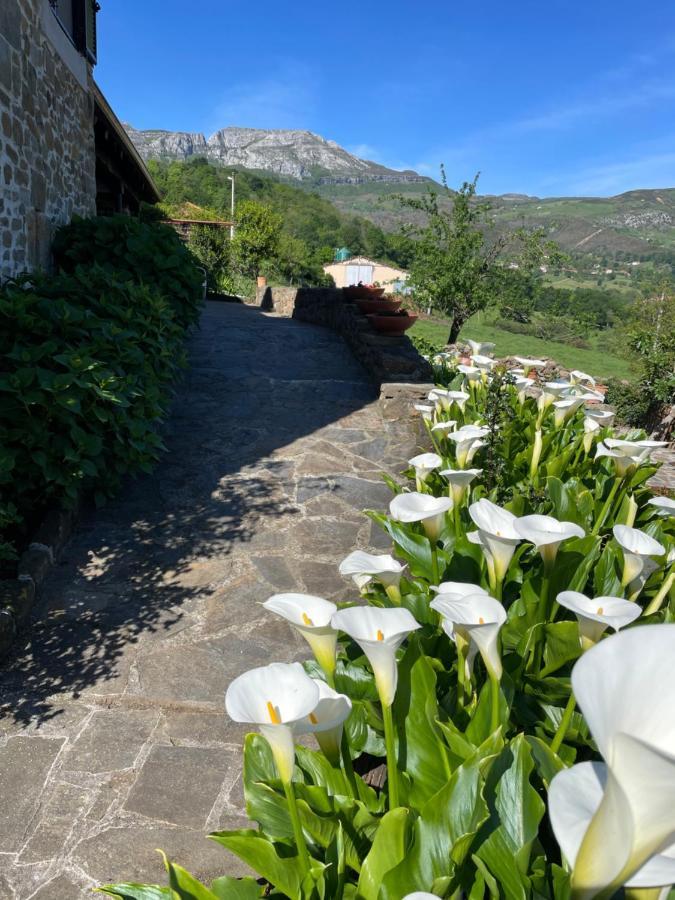 Posada Casa Guadamillas Bustancilles Экстерьер фото