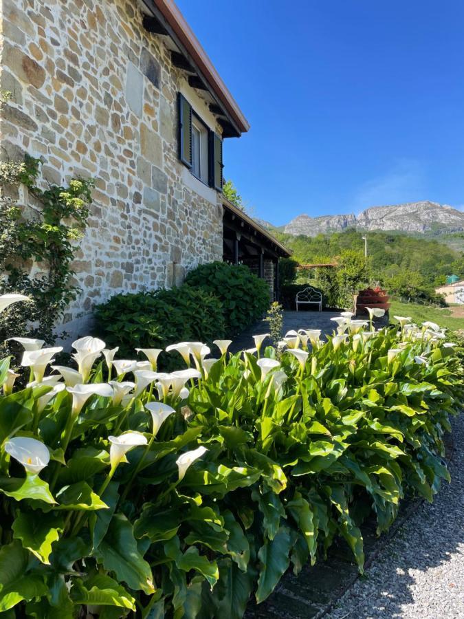 Posada Casa Guadamillas Bustancilles Экстерьер фото